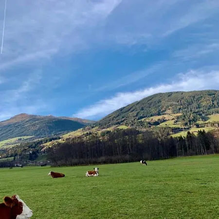 In Sulzau Near Wildkogel Arena Apartment Neukirchen am Grossvenediger