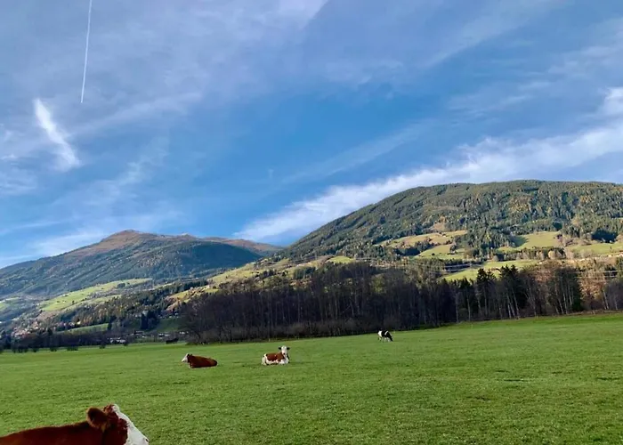 In Sulzau Near Wildkogel Arena 公寓 Neukirchen am Großvenediger